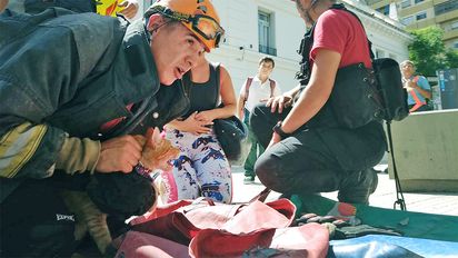 Bomberos rescató un gato de lo alto de un árbol frente al Palacio de Mójica