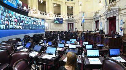 El Senado confirmó la sesión del 29 para debatir la legalización del aborto