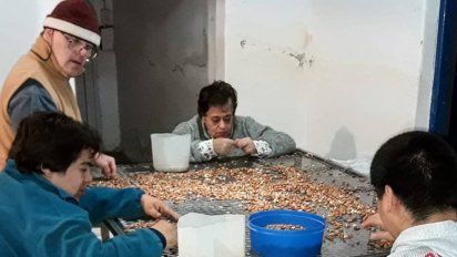 Cabrera: un taller protegido, al borde del cierre por la falta de maní y baja de ventas