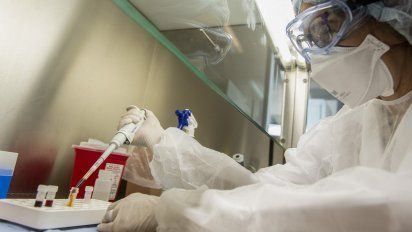 Aseguran que Gamma sigue siendo la cepa predominante del coronavirus