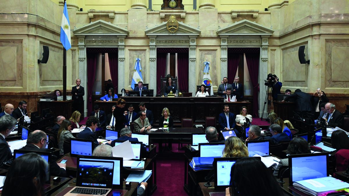 El Senado se aprestaba a votar la Ley de Bases con un nivel de respaldo ...