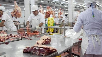 Autorizan a exportar los 7