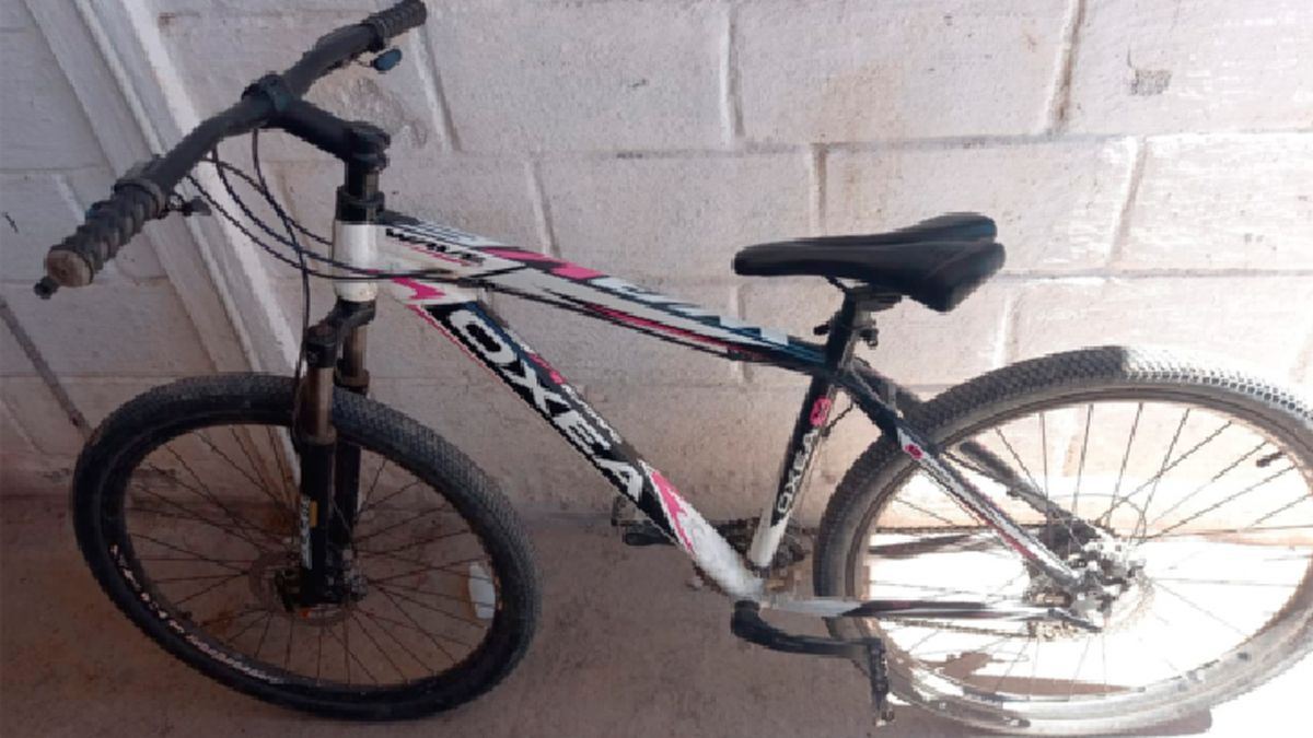 El menor fue demorado cuando ofrecía la bicicleta robada.