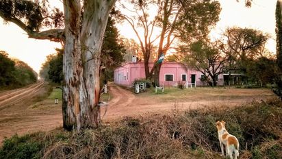Un campo de Los Cisnes es sede del 