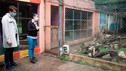 Destacan la labor del Parque Ecológico en la reinserción de animales rescatados