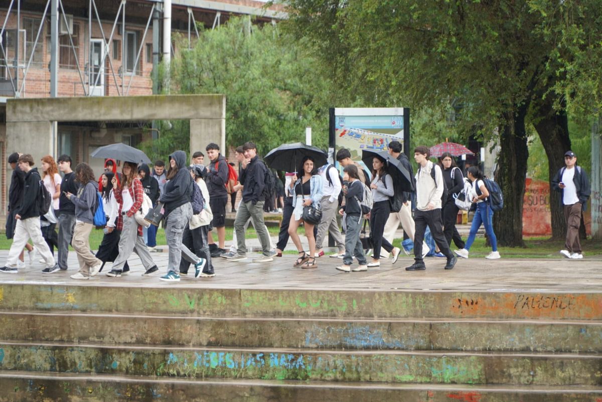 Foto: Andrés Oviedo