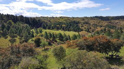 Admiten formalmente un amparo ambiental presentado por vecinos de El Durazno