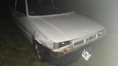 Advierten por el crecimiento de accidentes con jabalíes  en el sur - sur