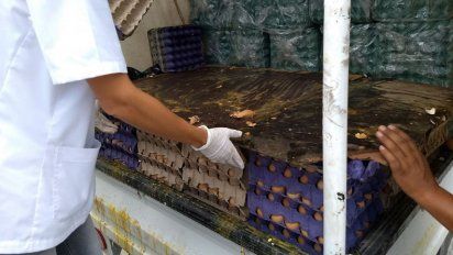 Decomisaron 900 docenas de huevos en Abilene