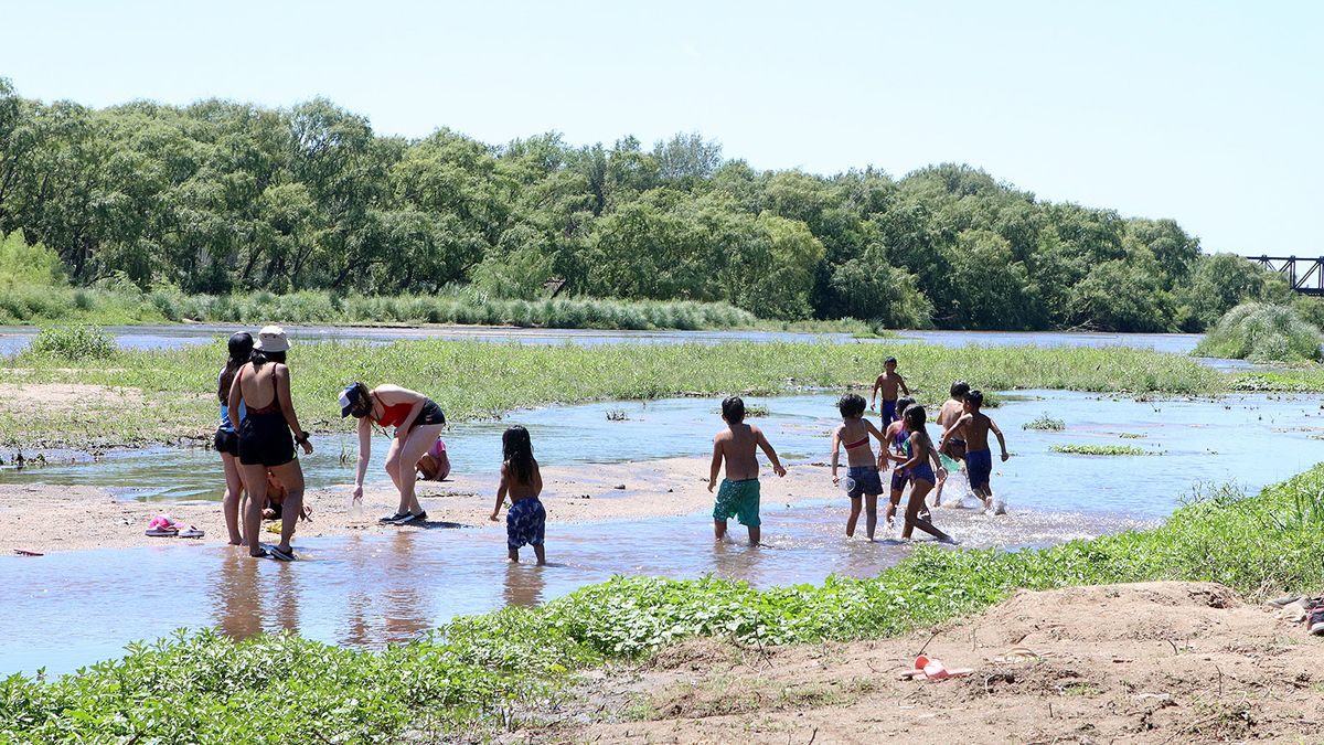 La Colonia cuenta con 15 profesores y 4 coordinadores.