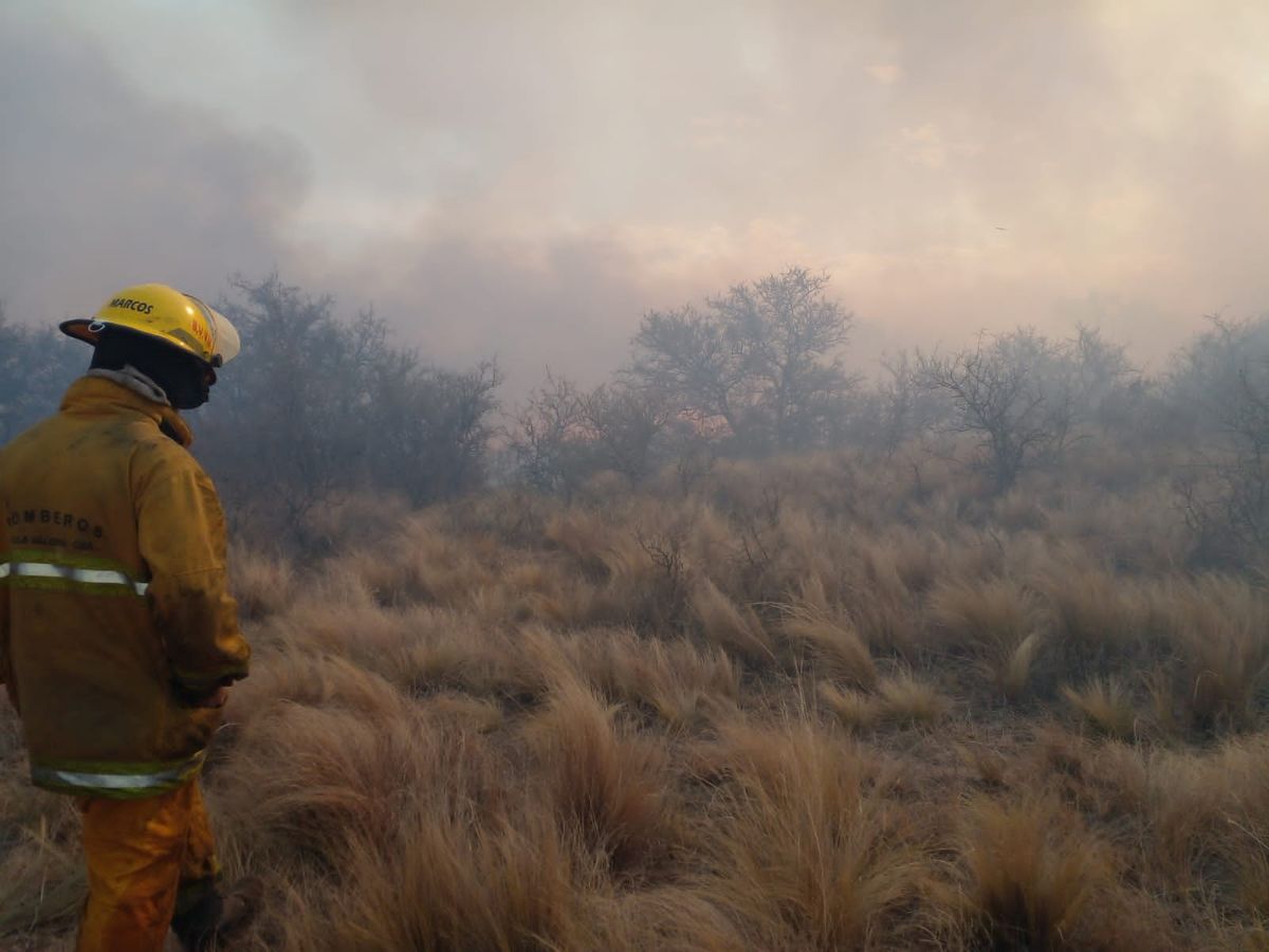 El último domingo se quemaron 250 hectáreas de bosque nativo perteneciente al Corredor del Caldén.