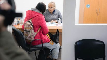 Mascotas: reparan el quirófano móvil para una mejor atención