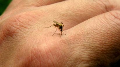 Dengue: llegan a 269 mil los casos en la temporada y ya son cerca de 200 los fallecidos