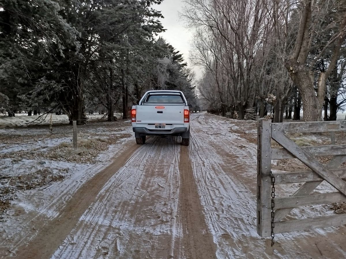 Postales de la nieve en los campos de la región
