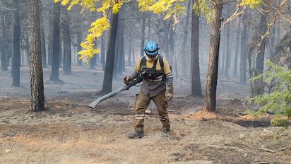 La Provincia confirmó que está contenido el incendio en Totoral