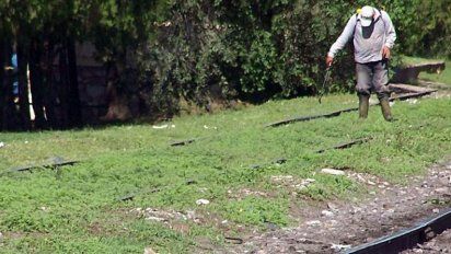 Impulsan proyecto para prohibir el uso de glifosato en el ejido urbano