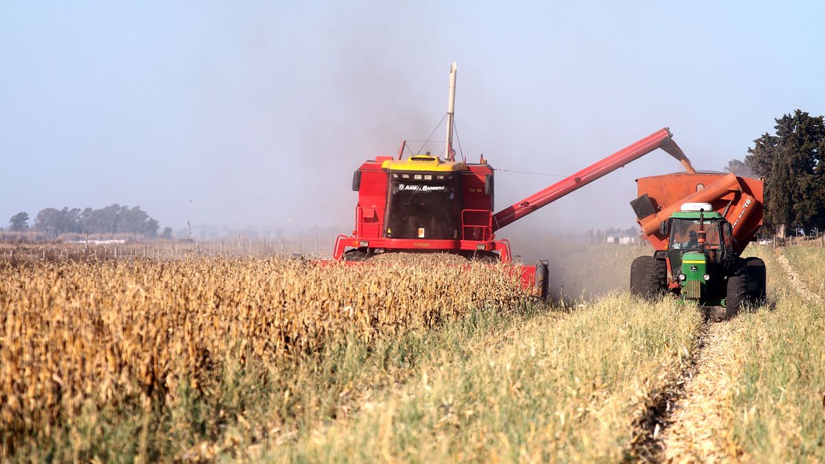 Las cosechadoras siguieron con su trabajo hasta bien avanzado el invierno en el último ciclo de maíz en la provincia.