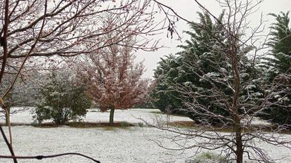 Nieve en el sur de Córdoba: nevadas en Sampacho, Achiras y otras localidades