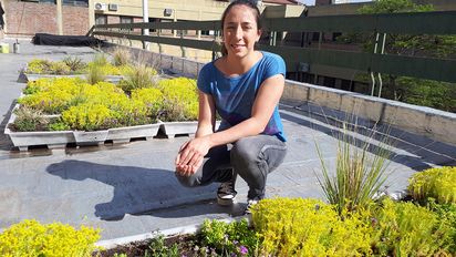 UNRC: investigan especies vegetales para cubrir los techos de los edificios