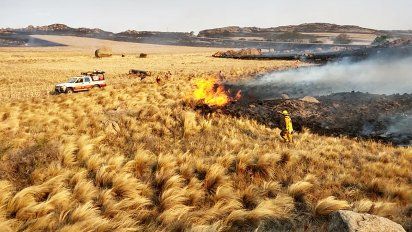 Las pérdidas en los campos de las sierras son de casi el 100%