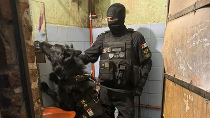 Córdoba: tres detenidos y dos puntos de venta cerrados por comercio de drogas