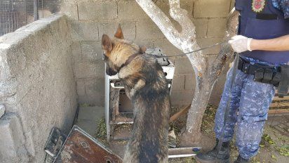 Detuvieron en barrio Alberdi a un acusado por amenazas