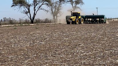 Flaquea la fuente de ingreso de dólares y eso diluye el ajuste