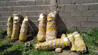 Río Cuarto: desmantelan una plantación de marihuana