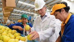 Se reanudaron formalmente las exportaciones de limón a Japón