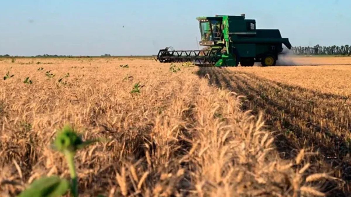 El campo insiste en que es necesario mantener la baja de retenciones para  soja y maíz