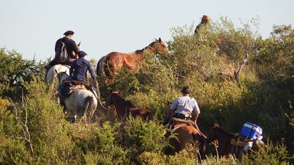 Culminó la 36ª travesía gaucha