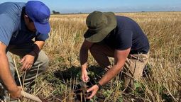 productores argentinos son mas optimistas que los de ee.uu, aunque comparten desafios