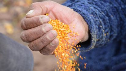 Alimentos: aprovechar el descarte como insumo, la clave