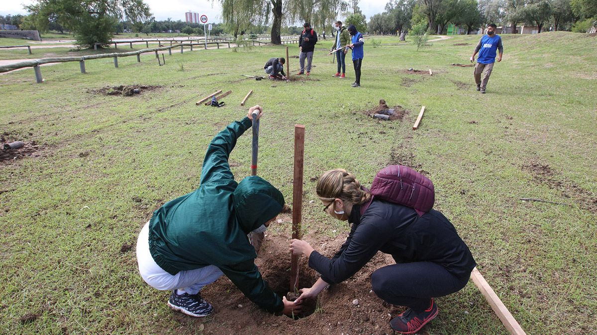 La actividad se desarrolló en el Día Mundial Forestal.