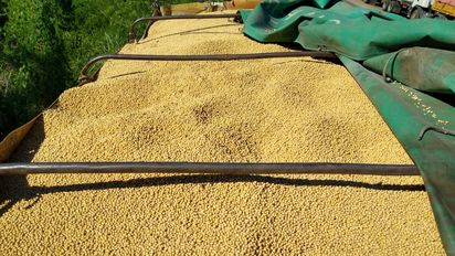 El Gobierno cerró el registro para anotar exportaciones de cereales