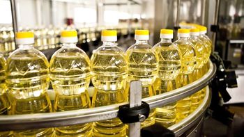 En retroceso: cayeron todos los sectores principales de la economía provincial
