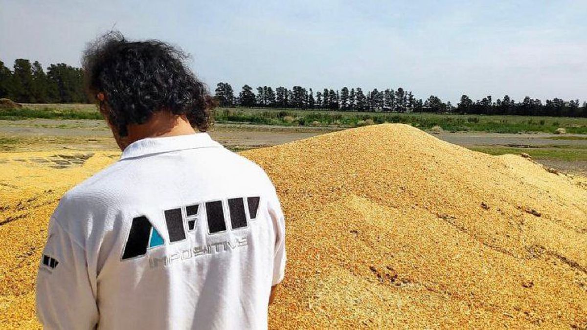 AFIP detectó maniobras fraudulentas con 1.700 toneladas de granos en Córdoba.