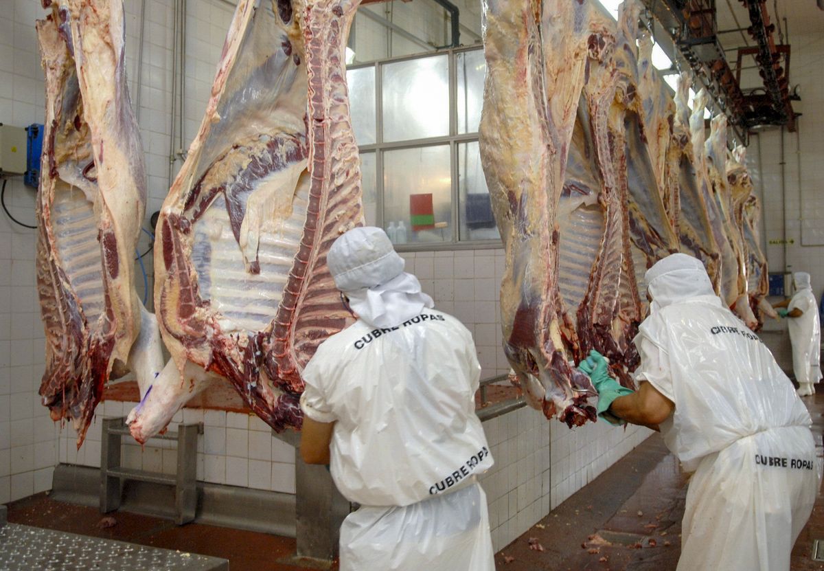 En abril  se certificaron exportaciones de carne  por 46