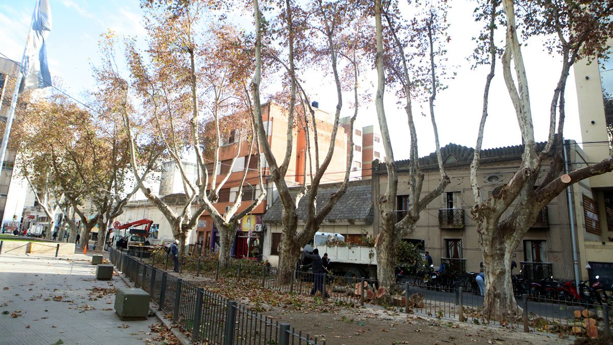 El Municipio explicó que el trabajo se realiza para cuidar el medioambiente.