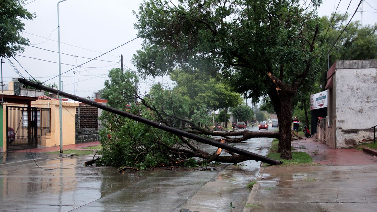 En la ciudad hubo árboles y postes caídos.