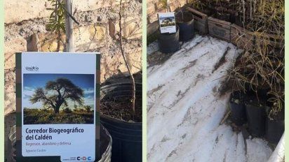 En defensa del caldenal, un libro que procura generar conciencia