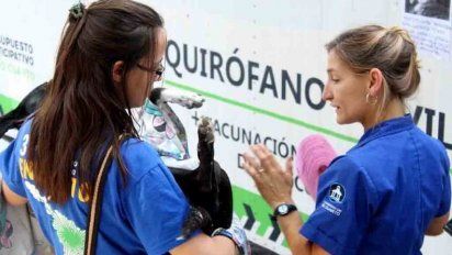 Este año, el Edecom castró a 7.500 mascotas y vacunó a otras 6.500
