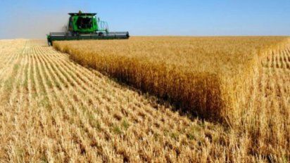 Campo y agroindustria sostuvieron las exportaciones de la provincia