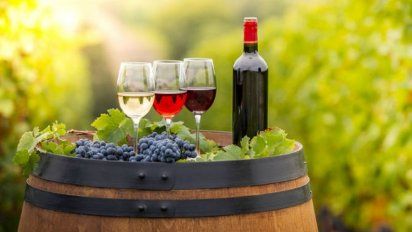 Crece en la Argentina la producción de vinos orgánicos y sustentables