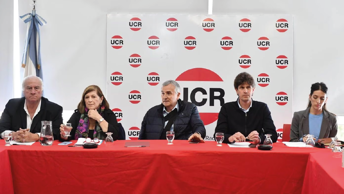 La UCR busca reunificar los bloques en Diputados, pero un grupo veta a De Loredo como presidente