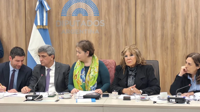 Diputados piden informes sobre los controles a los laboratorios productores del fentanilo contaminado