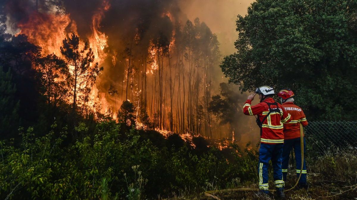 Portugal: Once personasresultaron heridas por un incendio forestal de gran magnitud en la zona centro