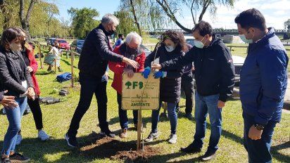 Prevén colocar alrededor de 8 mil árboles en la ciudad a lo largo del año