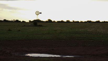 Las últimas lluvias aliviaron al campo e impulsarán la finalización de la siembra de soja y maíz