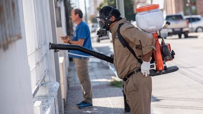 Dengue: detectan larvas de Aedes en el 8% de las casas relevadas y emiten recomendaciones